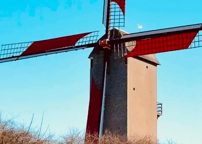 Daire Lejeune Koksijde